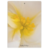 White Begonia Klembord (Achterkant)