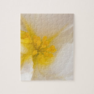 White Begonia Legpuzzel