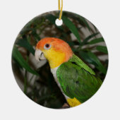 White Bellied Caïque Parrot met Bamboe Tree Keramisch Ornament (Voorkant)