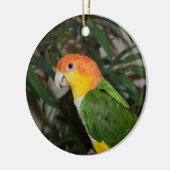 White Bellied Caïque Parrot met Bamboe Tree Keramisch Ornament (Links)