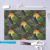 White Bellied Caïque Parrot met Bamboe Tree Tissuepapier (Craft)