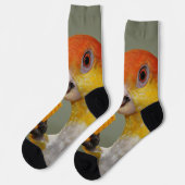 White Bellied Caïque Parrot met Speelgoed hout Blo Sokken (Links)