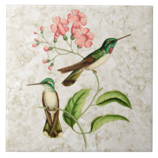 White Bellied Hummingbird  Natuur Art Tegeltje