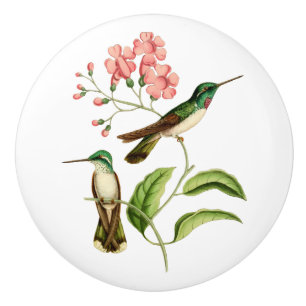 White Bellied Mountain Gem Hummingbird Keramische Knop