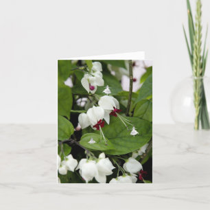 White Bells Shadow Fairies Kaart