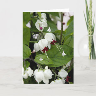 White Bells Shadow Fairies Kaart
