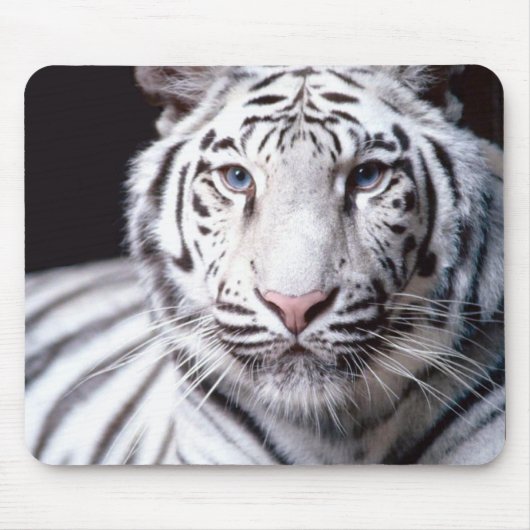 White Bengal Tiger Mousepad Muismat (Voorkant)