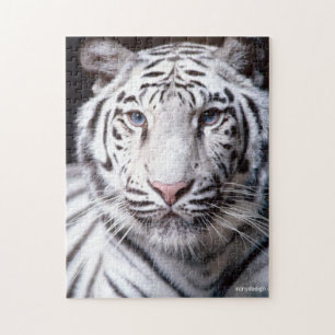 White Bengal Tiger Photo Afbeelding Legpuzzel