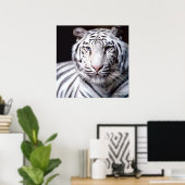 White Bengal Tiger Poster (Thuiskantoor)