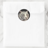 White Bengal Tiger Ronde Sticker (Tas)