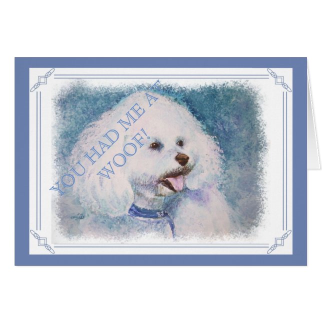 WHITE BICHON FRISE (Devant horizontal)