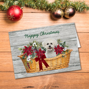 White Bichon Frise Dog in mandje kerstkaart
