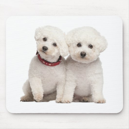 White Bichon Frise Puppy Dog Computer Mousepad Muismat (Voorkant)