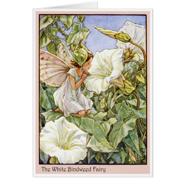 White Bindweed Fairy (Voorkant)