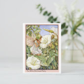 White Bindweed Fairy Briefkaart (Staand voorkant)