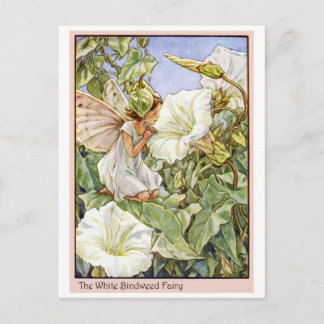 White Bindweed Fairy Briefkaart