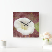 White Bindweed - Wild Perennial Morning Glory Vierkante Klok (Huis)