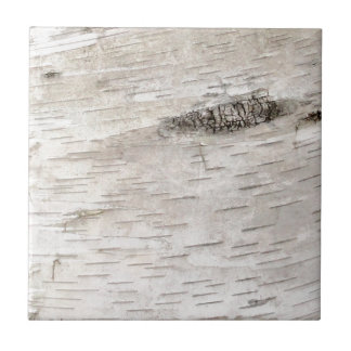 White Birch Bark Tegeltje