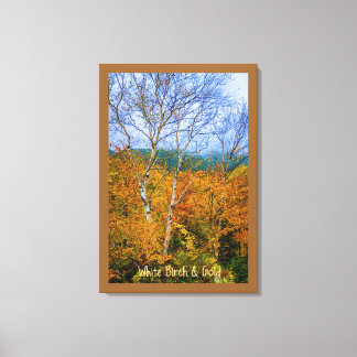 White Birch & Gold Canvas Afdruk