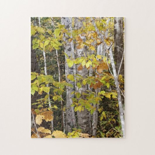 White Birch in Autumn Legpuzzel (Verticaal)