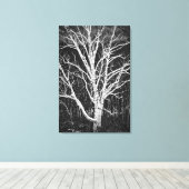 White Birch Tree in Winter Black en White Photo Canvas Afdruk (Insitu (Houten vloer))