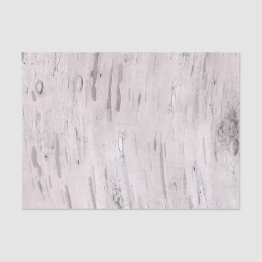 White Birch Tree Wood Rustin Barn Farmhouse Chic Tissuepapier (Voorkant)