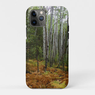 White Birch Trees and Herfst Ferns in Rocky Mounta iPhone 11 Pro Hoesje