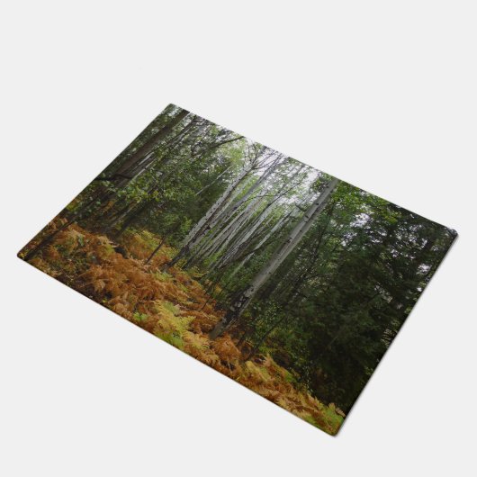 White Birch Trees and Herfst Ferns in Rocky Mounta Deurmat (Schuin)