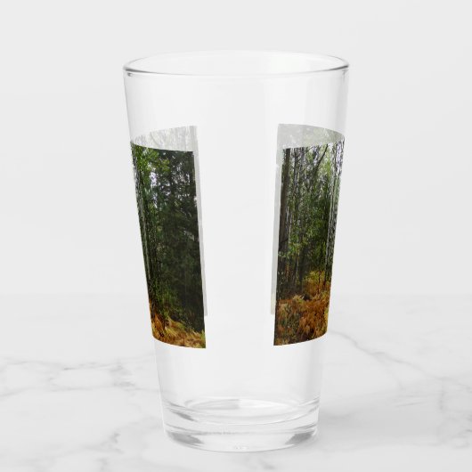 White Birch Trees and Herfst Ferns in Rocky Mounta Glas (Links)