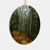 White Birch Trees and Herfst Ferns in Rocky Mounta Keramisch Ornament (Rechts)