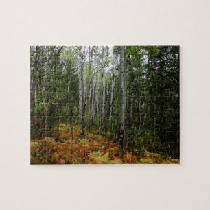 White Birch Trees and Herfst Ferns in Rocky Mounta Legpuzzel
