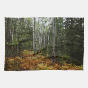 White Birch Trees and Herfst Ferns in Rocky Mounta Theedoek