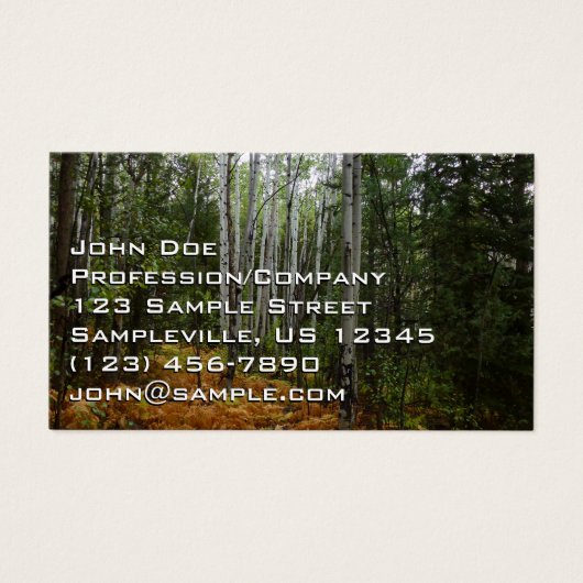 White Birch Trees and Herfst Ferns in Rocky Mounta Visitekaartje (Voorkant)