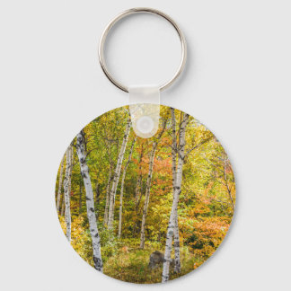 White Birches in Autumn Button Sleutelhanger