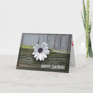 White Birthday Daisy on Wood Kaart
