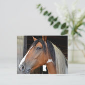 White Blaze Black White Mane Briefkaart (Staand voorkant)