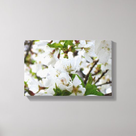 White Blossom Canvas Afdruk (Voorkant)