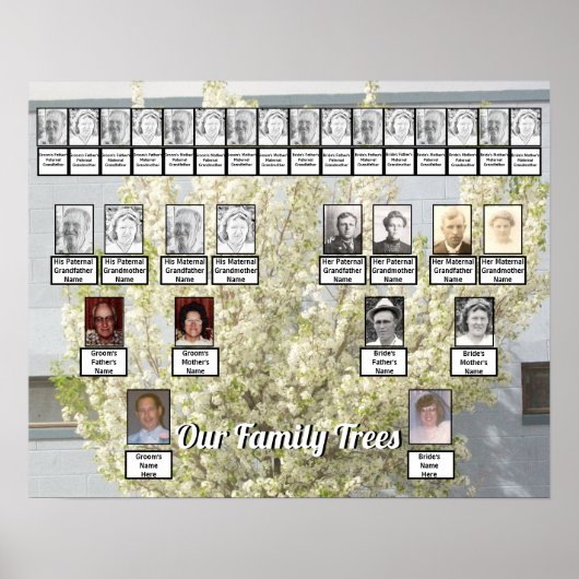 White Blossom Spring Tree Foto 2 Family Trees Poster (Voorkant)