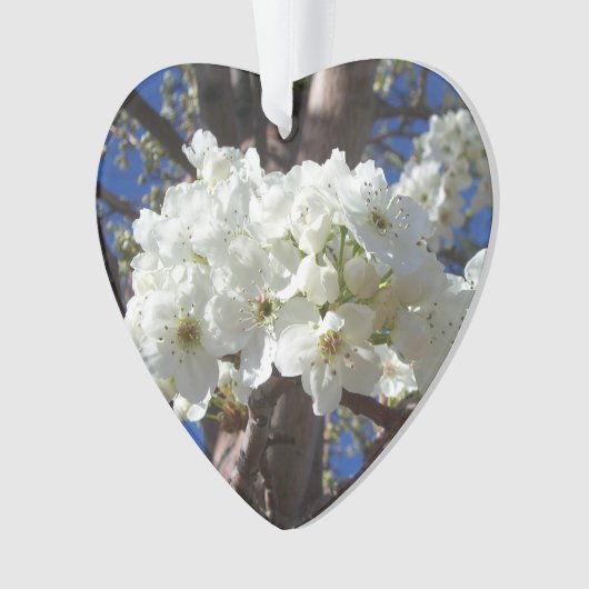 White Blossoms II (devant)