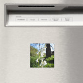White Bluebells Magnet Magneet (Insitu (Vaatwasser))