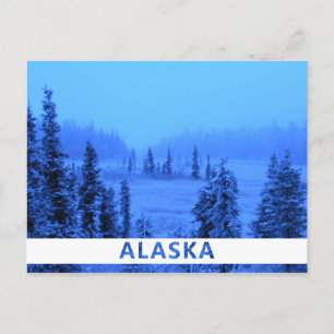White Border for your Alaskan Vacation Photo Briefkaart
