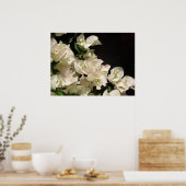 White Bougainvillea Flowers Poster (Keuken)