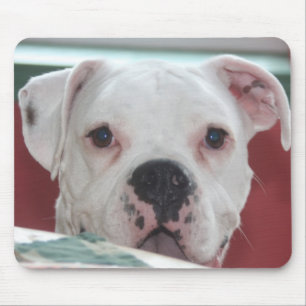 White Boxer Dog Photo Muismat