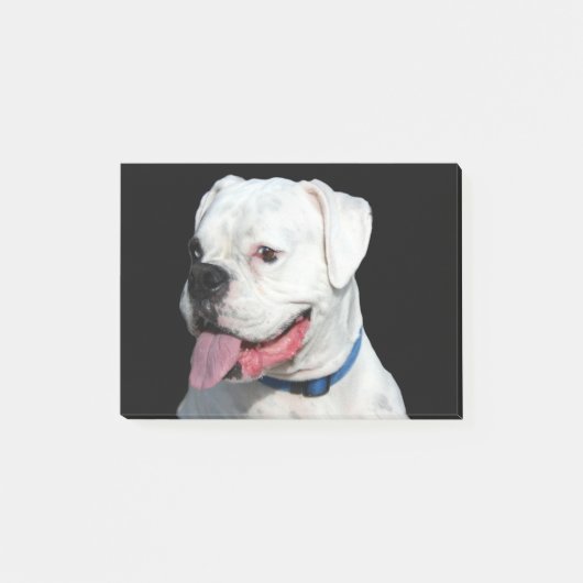 White Boxer dog Post-it® Notes (Voorkant)
