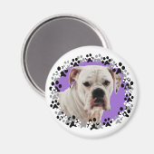 White Boxer Foto Magneet (Voorkant / Achterkant)