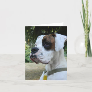 White Boxer Hond Portret Kaart