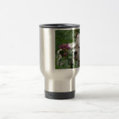 White boxer in Pink Rhodies Reisbeker (Center)