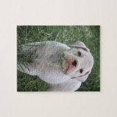 White Boxer Jigzaag Puzzle Legpuzzel (Horizontaal)