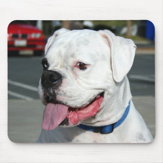 White Boxer mousepad Muismat (Voorkant)