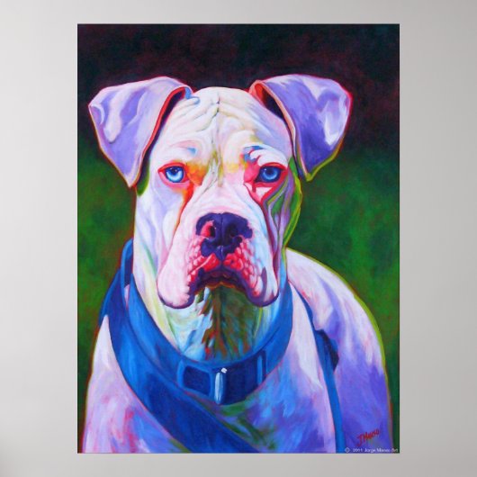 White Boxer Poster (Voorkant)